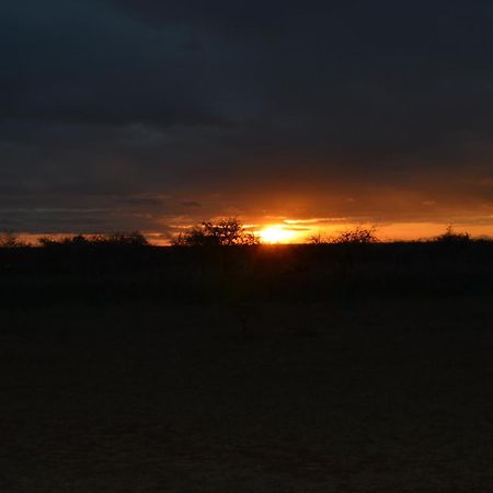 Wild Amboseli Ndovu Cottage. Ngoại thất bức ảnh