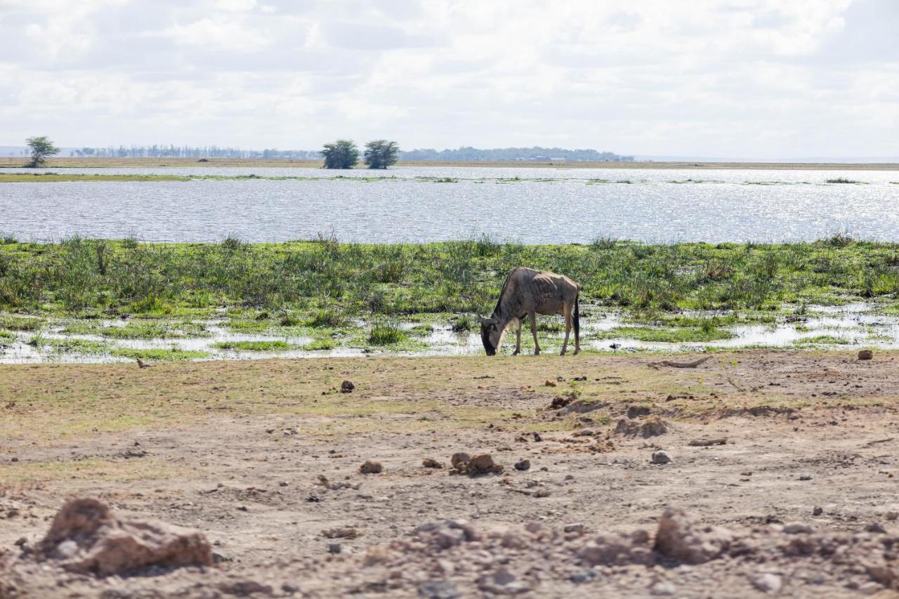 Wild Amboseli Ndovu Cottage. Ngoại thất bức ảnh