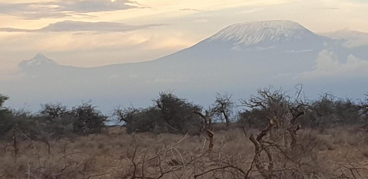 Wild Amboseli Ndovu Cottage. Ngoại thất bức ảnh
