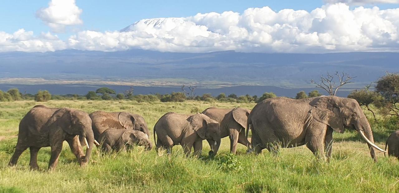 Wild Amboseli Ndovu Cottage. Ngoại thất bức ảnh