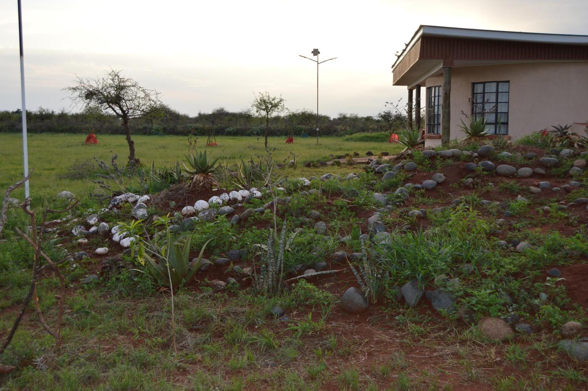 Wild Amboseli Ndovu Cottage. Ngoại thất bức ảnh